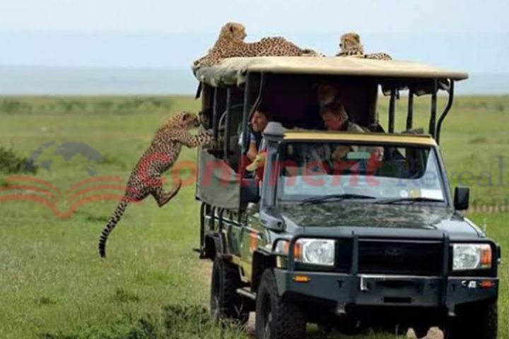 Masai Mara Game park