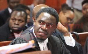 lawyer nelson havi